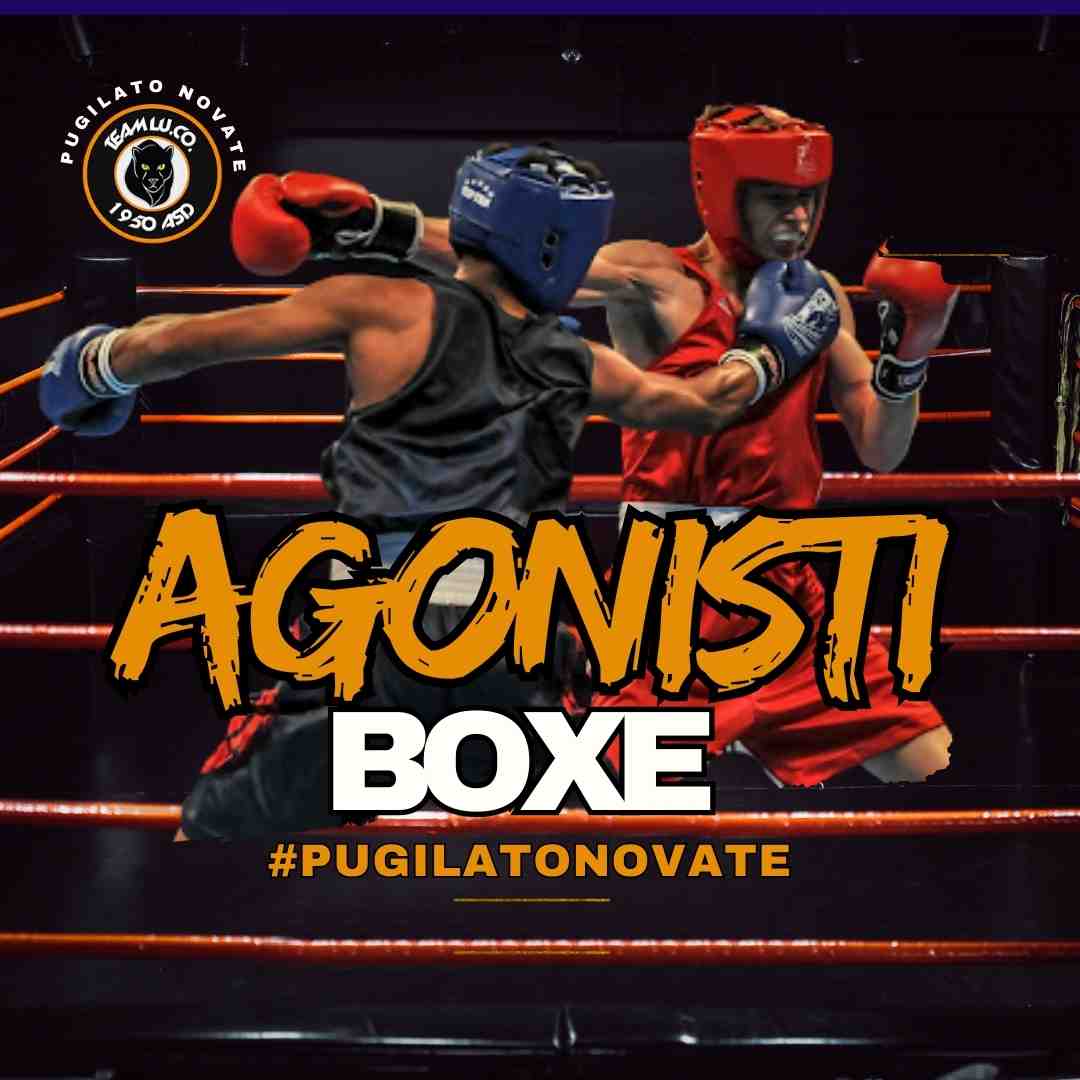 boxe agonisti pugilato novate