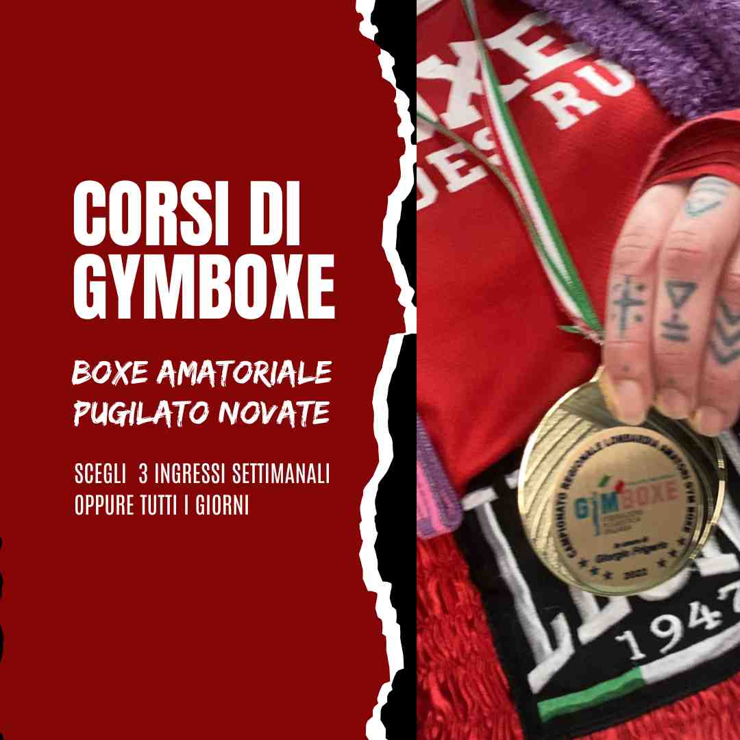 gymboxe pugilato novate