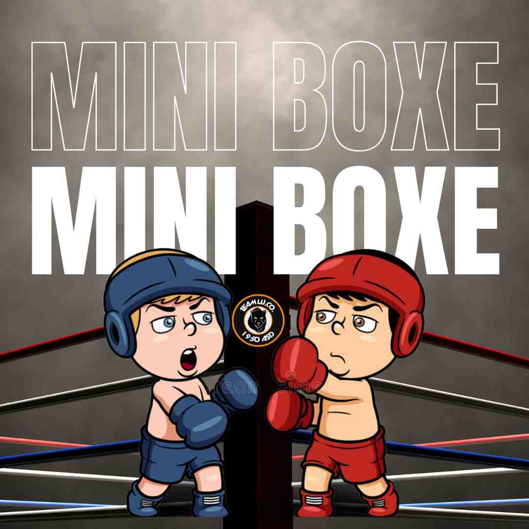 mini boxe pugilato novate