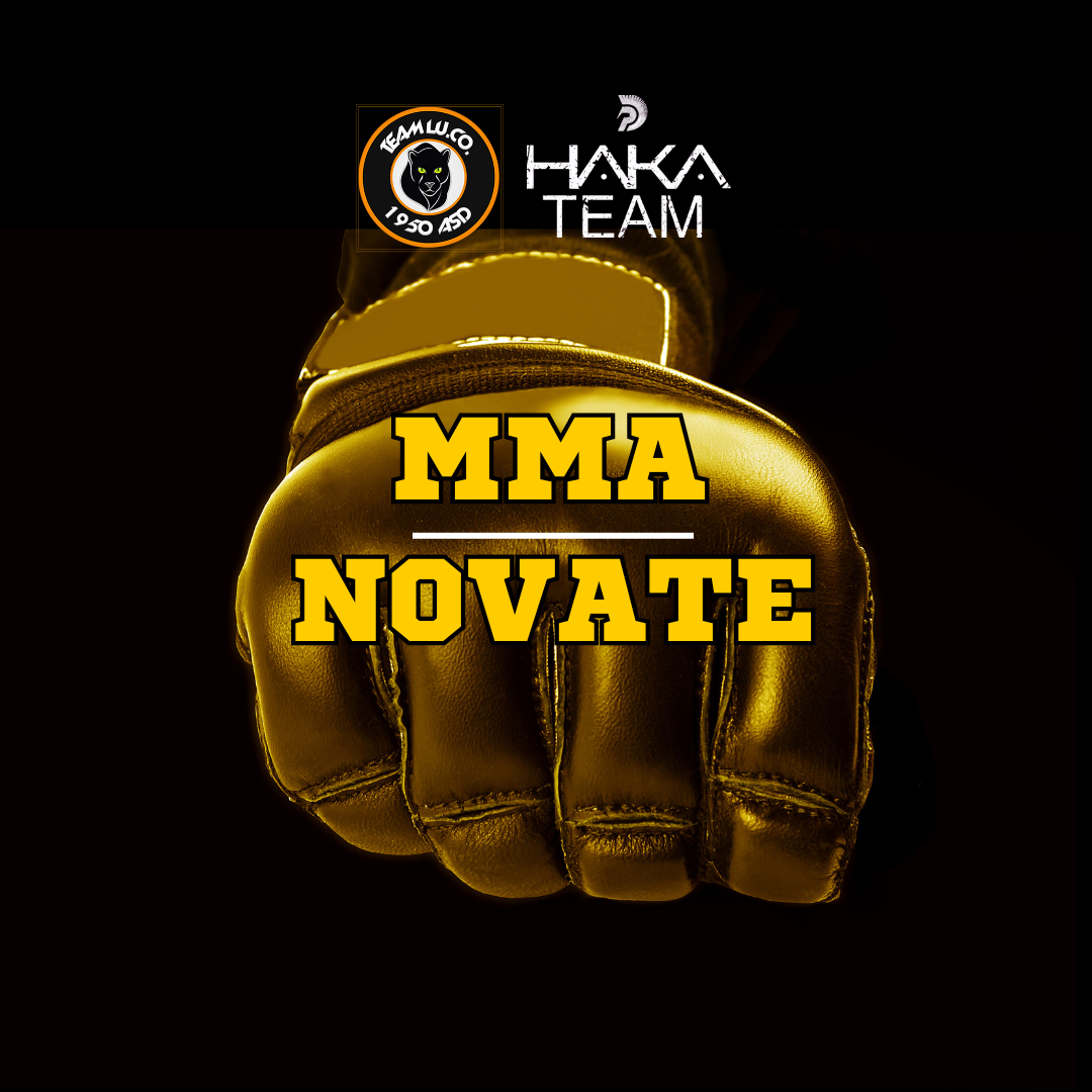 corso mma pugilato novate